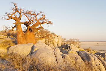 哈博罗内港口查询_gaborone港口代码_博茨瓦纳哈博罗内港口代码